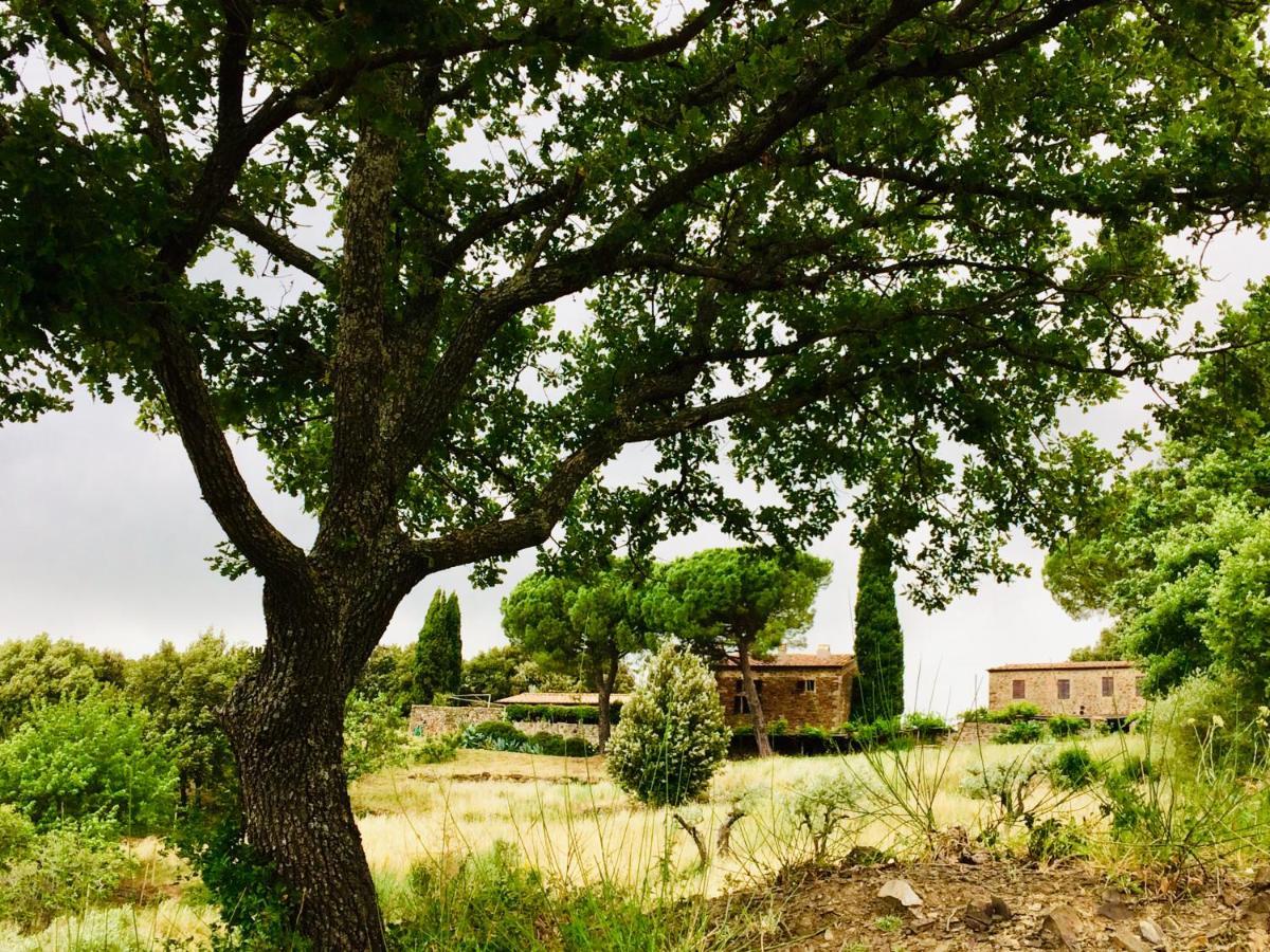 Nocini Di Maremma Villa Tatti Exterior photo