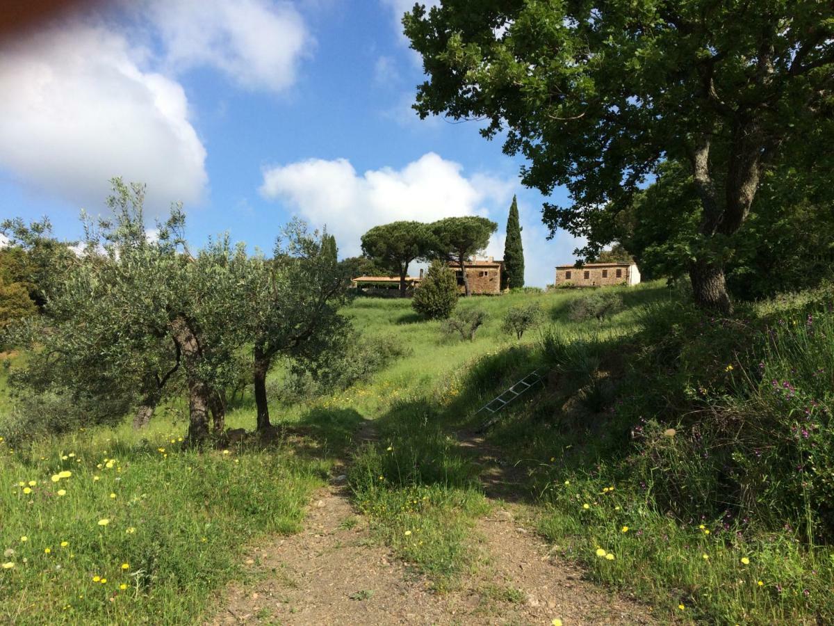 Nocini Di Maremma Villa Tatti Exterior photo